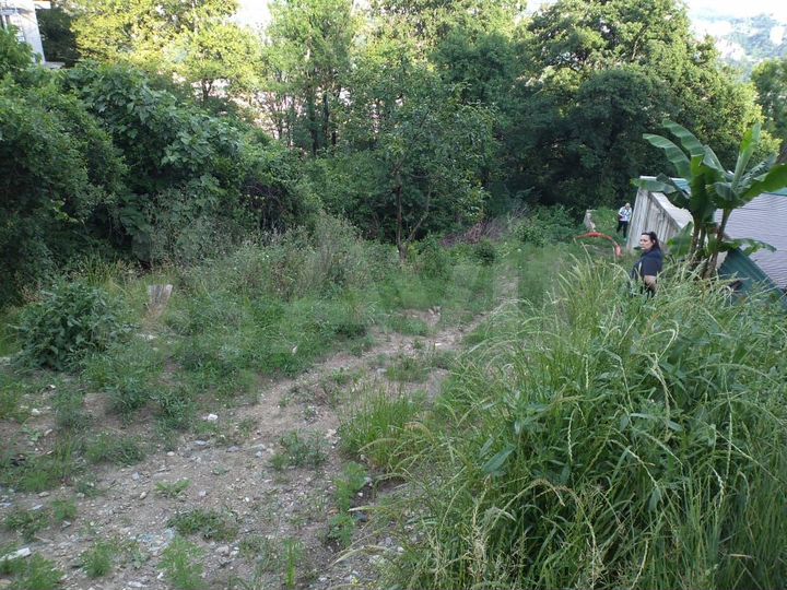 Участок 5 сот. (СНТ, ДНП)