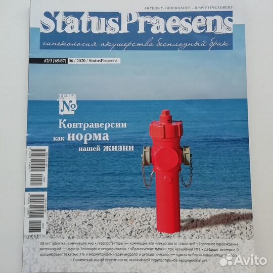 Журналы Статус Презенс