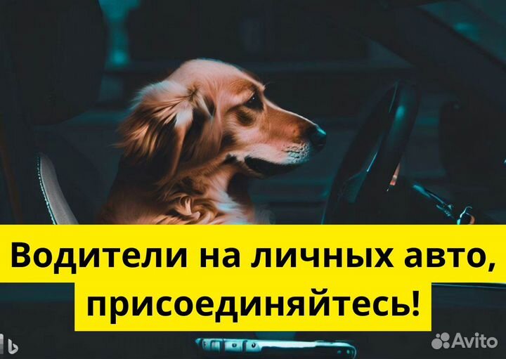 Подключай свое т/с к Яндекс GO