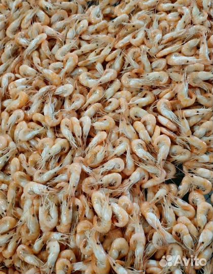 Креветка черноморская