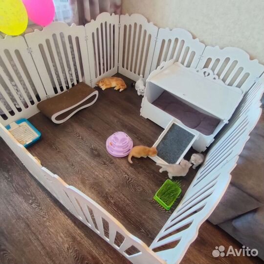 Вольер для домашних животных