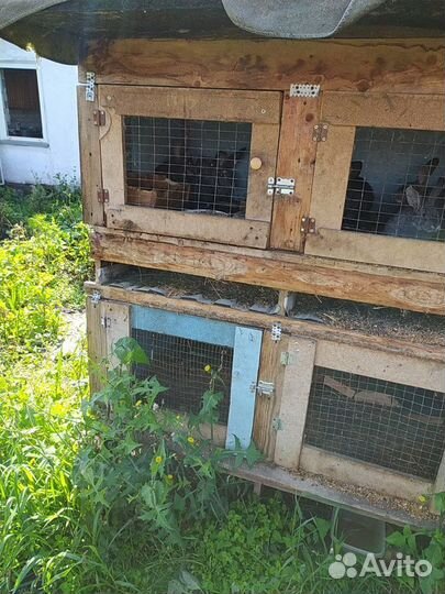 Клетки для кроликов 6 штук