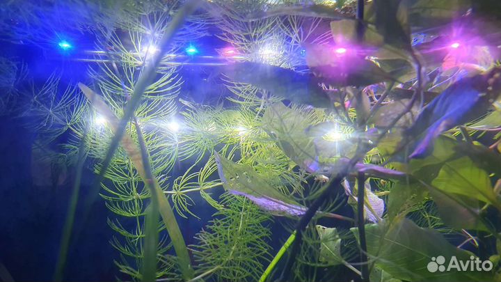 Аквариум с тумбой 120л