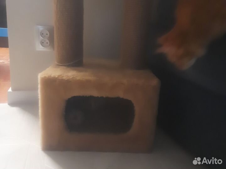 Когтеточка домик для кошки бу