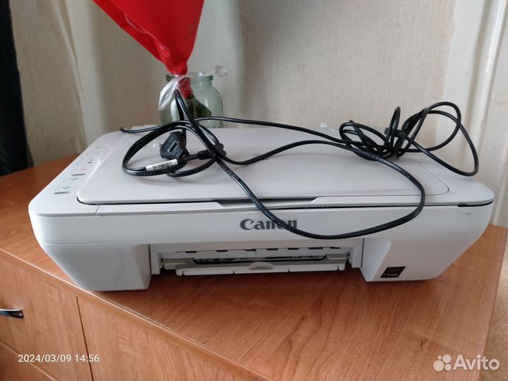 Принтер Canon mg 2440