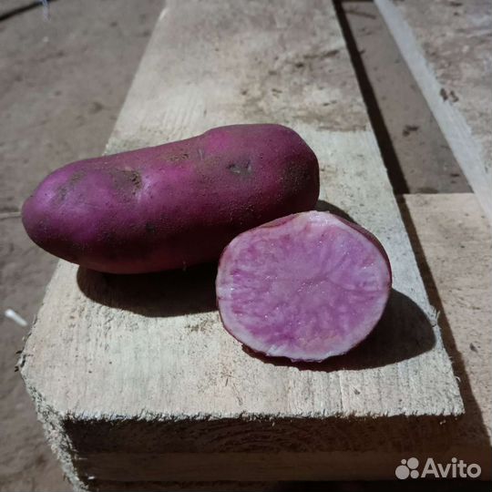 Продам картофель