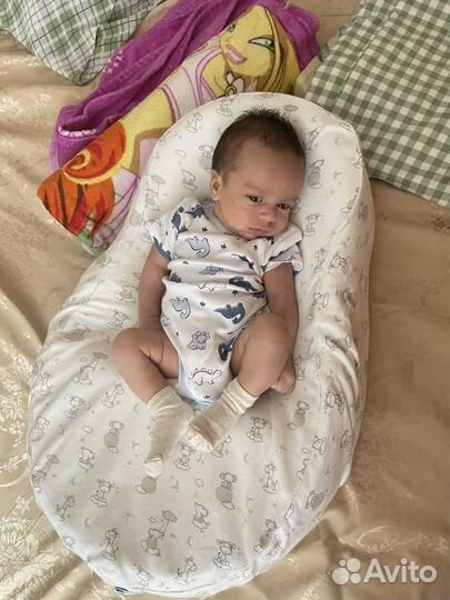 Кокон Зевушка