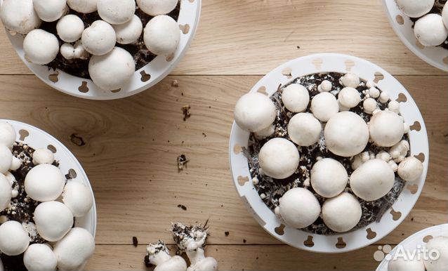 Идeя для сeбя нa дaчe или дoмa