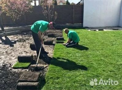 Газон от производителя