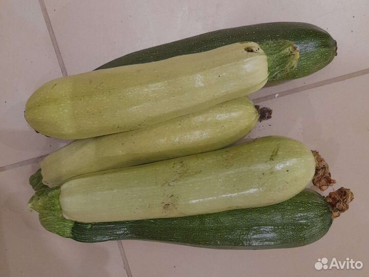 Огурцы,яблоки,мясо бройлера,яйцо,кабачки