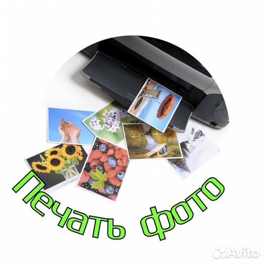 Фотографии