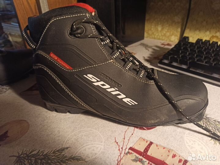 Лыжные ботинки spine technic