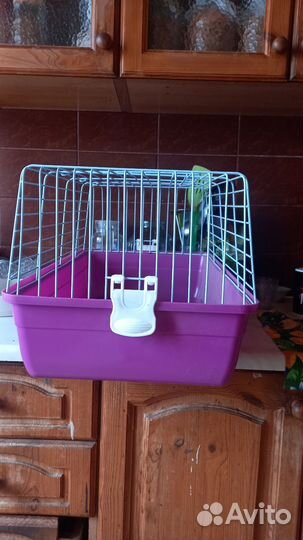 Клетка для грызунов