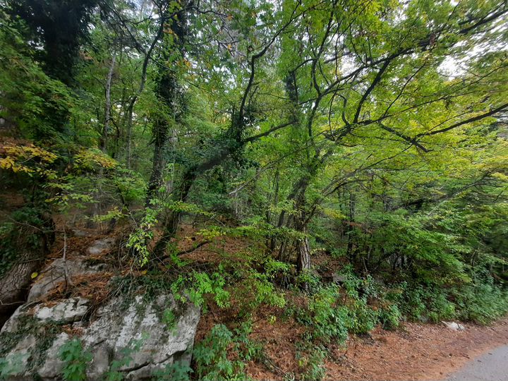 Участок 2,6 сот. (ИЖС)