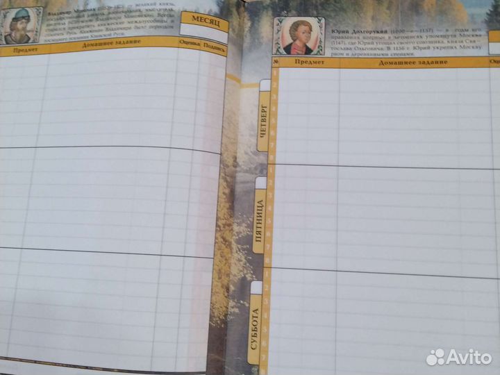 Дневник школьный