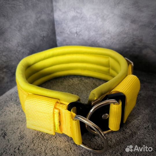 Ошейник для собак