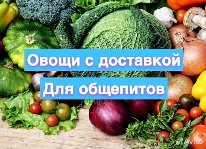 Овощи для общепитов