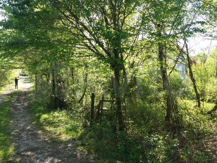 Участок 4,8 сот. (ИЖС)