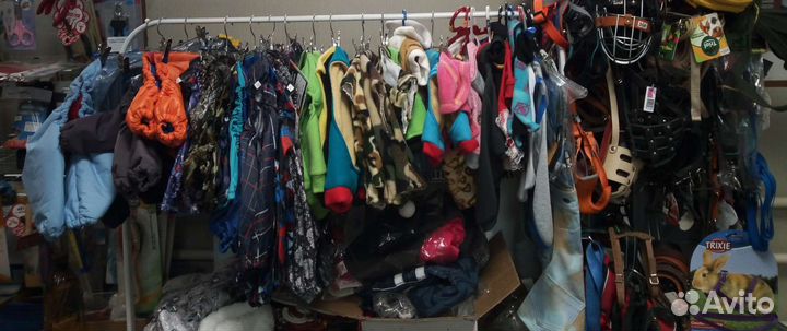 Одежда, обувь, аммуниция для собак