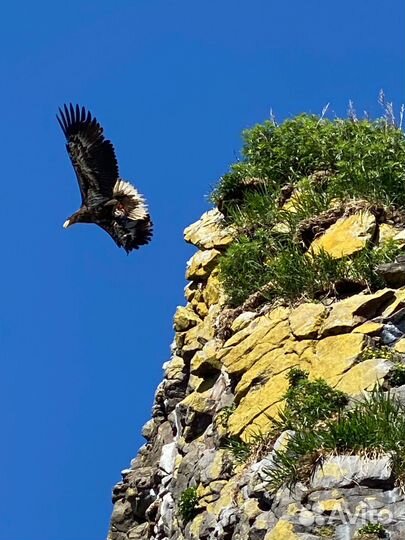 Морская прогулка