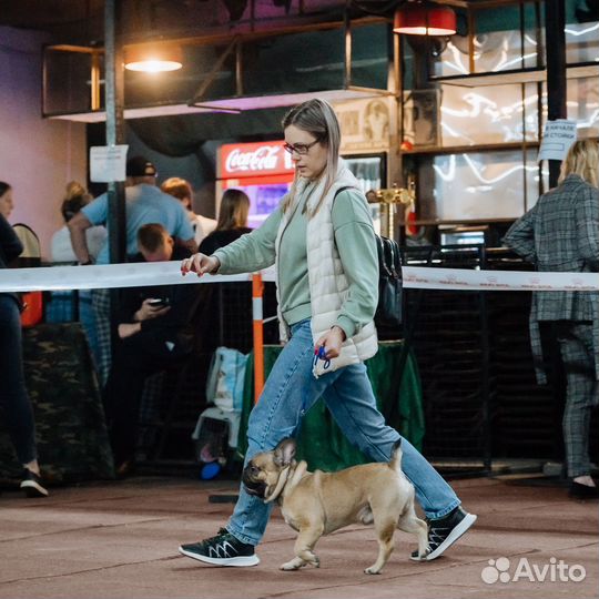 Вязка собак