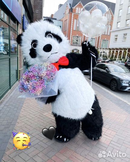 Аниматор.Большая Панда