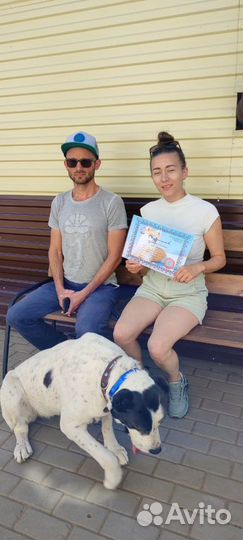 Кинолог эксперт. Оплата за результат. Гарантия