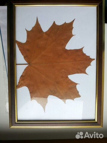 Фоторамки деревянные 20 штук