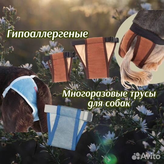 Зоотовары для всех видов животных. Опт и розница