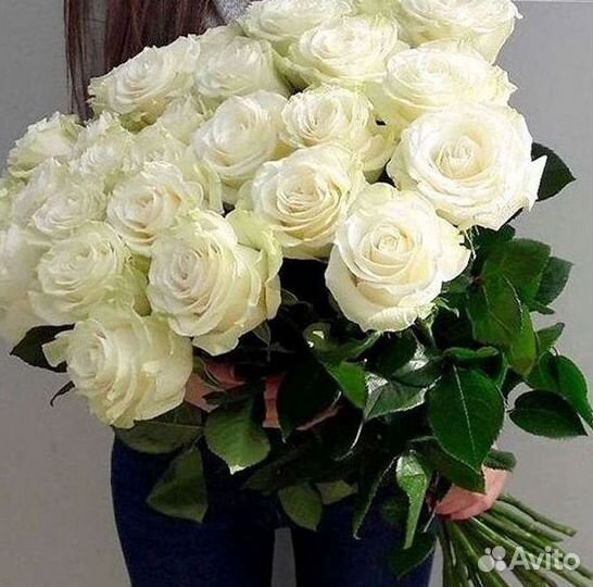 Высокие розы Гигантские розы Доставка цветов