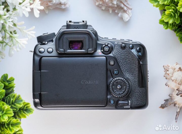Canon 80d body