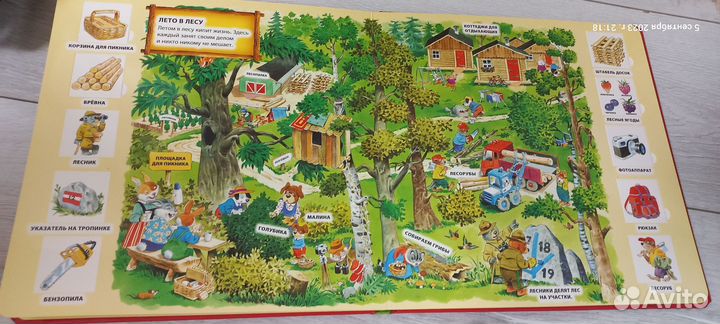 Книги с окошками Тони Вульф и Умка