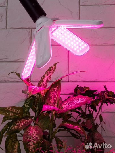 Фитолампа красно-синего спектра 36Вт E27