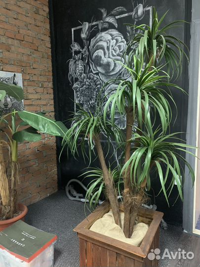 Пальма искусственная