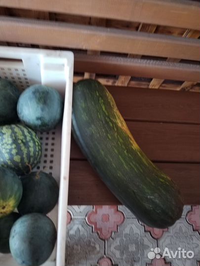 Тыква, овощи, арбузы