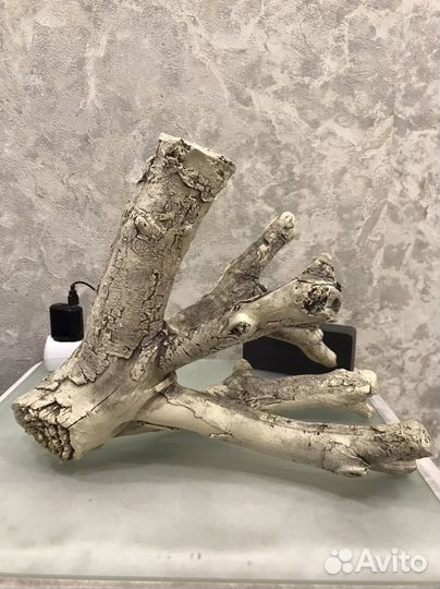 Коряги для аквариума