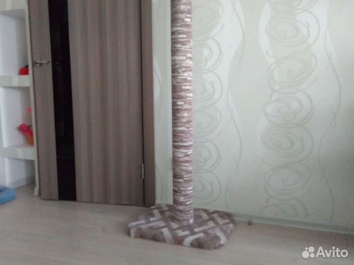 Когтеточка для кошек