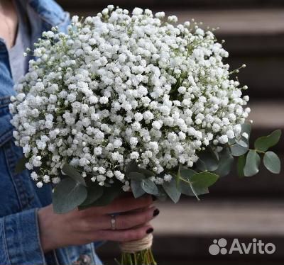 Гипсофила в оформлении