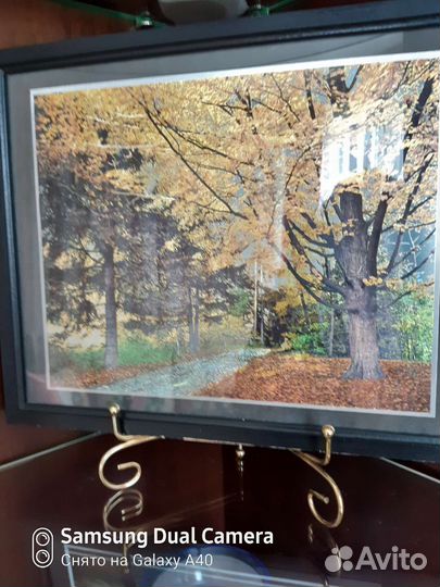 Картина по номерам новая