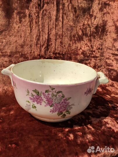 Супница сирень ранние советы