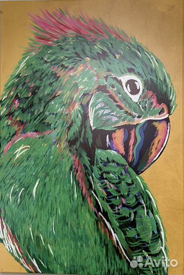 Постер Попугай 120х80