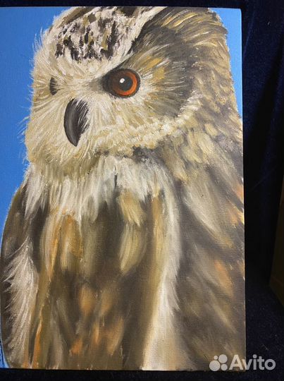 Сова Картина холст