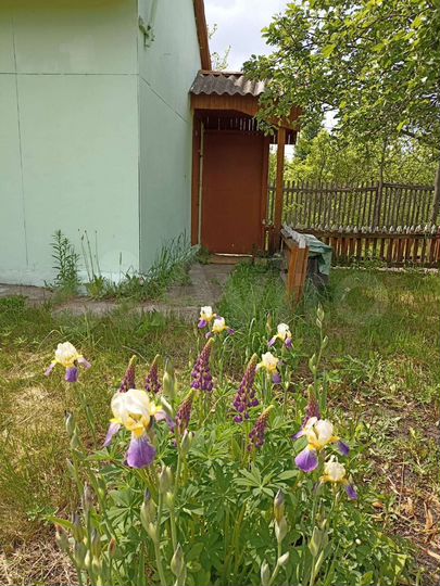 Дача 25 м² на участке 10 сот.