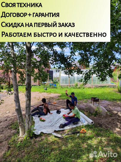 Осушение участка, озеленение