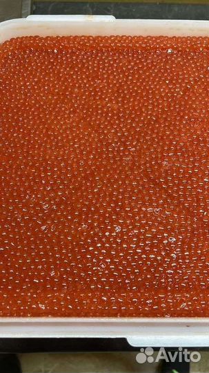 Красная икра Нерка 2023 год Июль