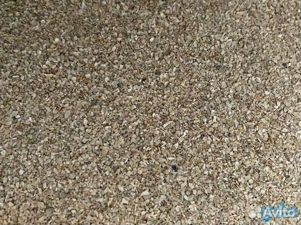 Ракушка морская кормовая