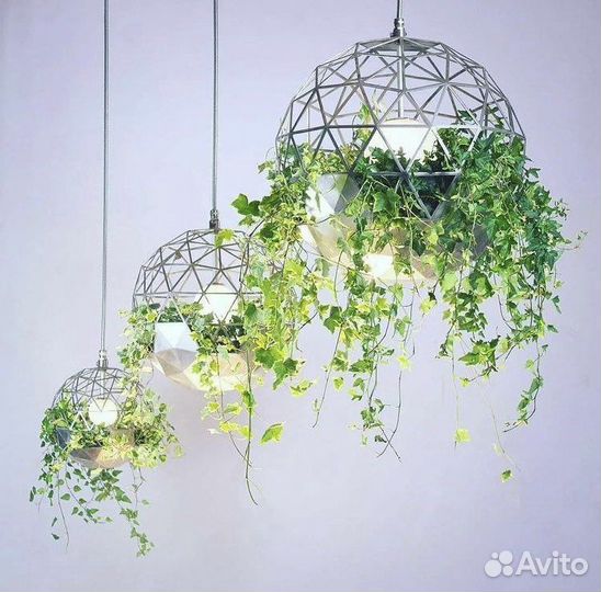 Фитокартина