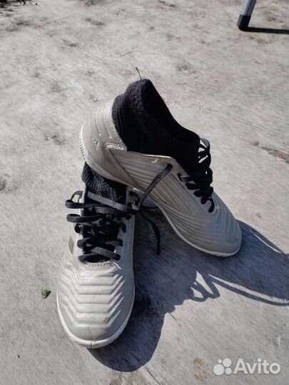 Футзалки adidas predator