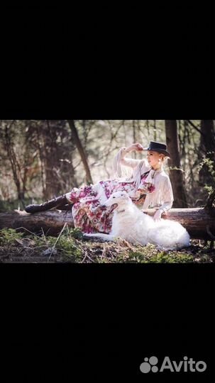 Аренда собак- Русских Псовых Борзых для фотосессии