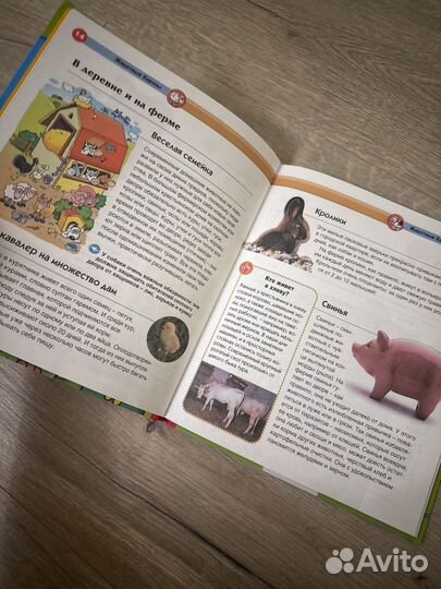 Познаклмься это животные энциклопедия